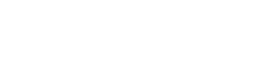 Newton One Advisors